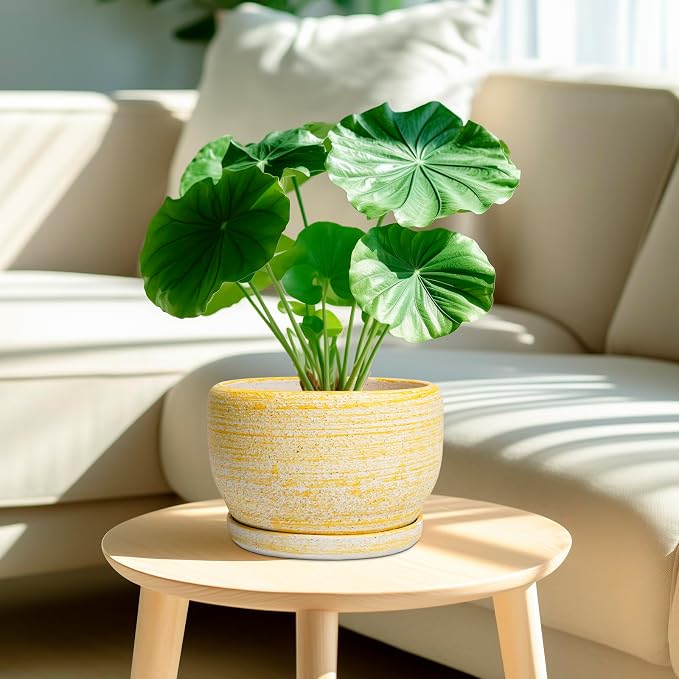 SQOWL Ceramic Flower Pots - 8 inch Plant Pot Indoor with Drainage Hole and Saucer, Modern Ceramic Planter Outdoor, Round Decorative Planter, Living Room Home Decor, Gifts for Plant Lovers, Yellow