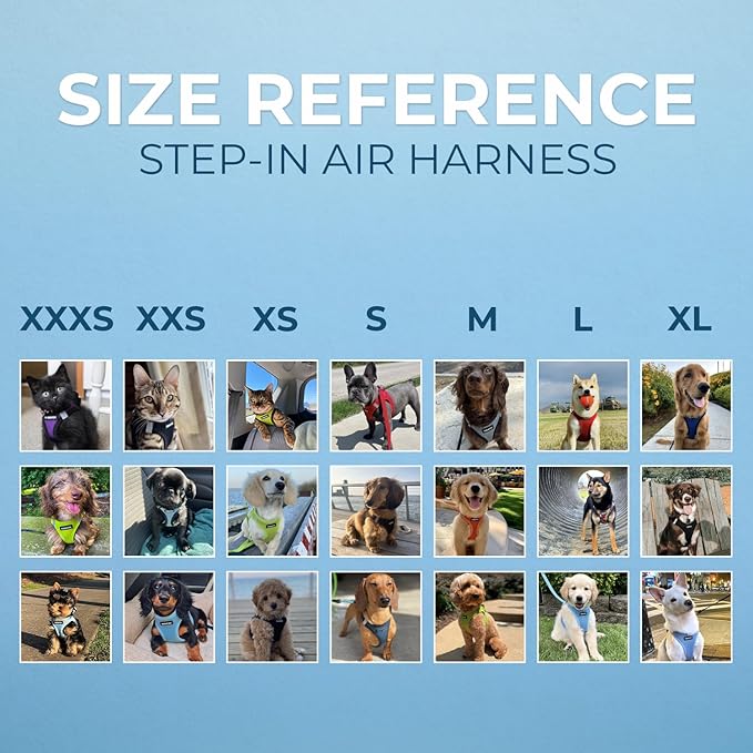 Best Pet Supplies Voyager Step-in Air Harness - All Weather Mesh, Reflective, No Pull Harness for Dogs, Cats - Secure with Hook & Loop Fastener, Buckle, Double D-Rings - Blue/Black Trim, L