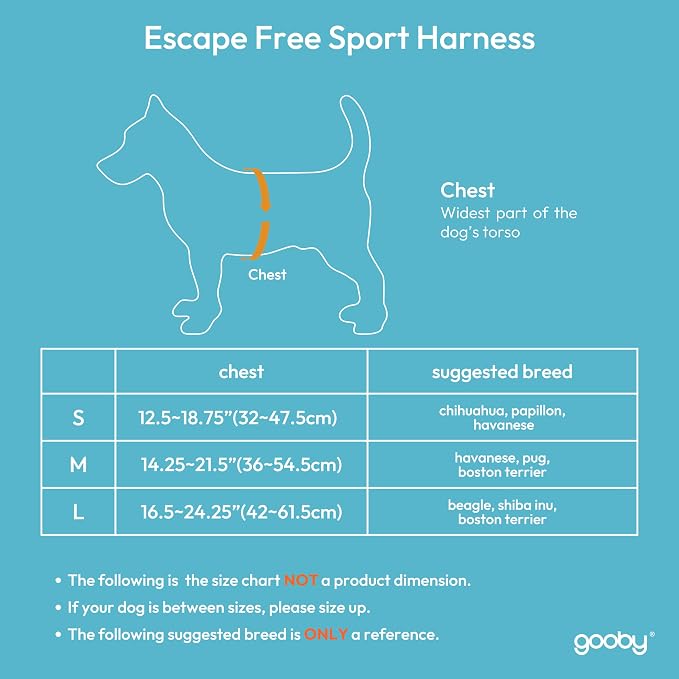 Gooby Escape Free Sport Dog Harness, Choke-Free, Turquoise, Small | Patented escape-free frame; Reduces choking; 4-point adjustment; Soft neoprene padding; Durable webbed straps