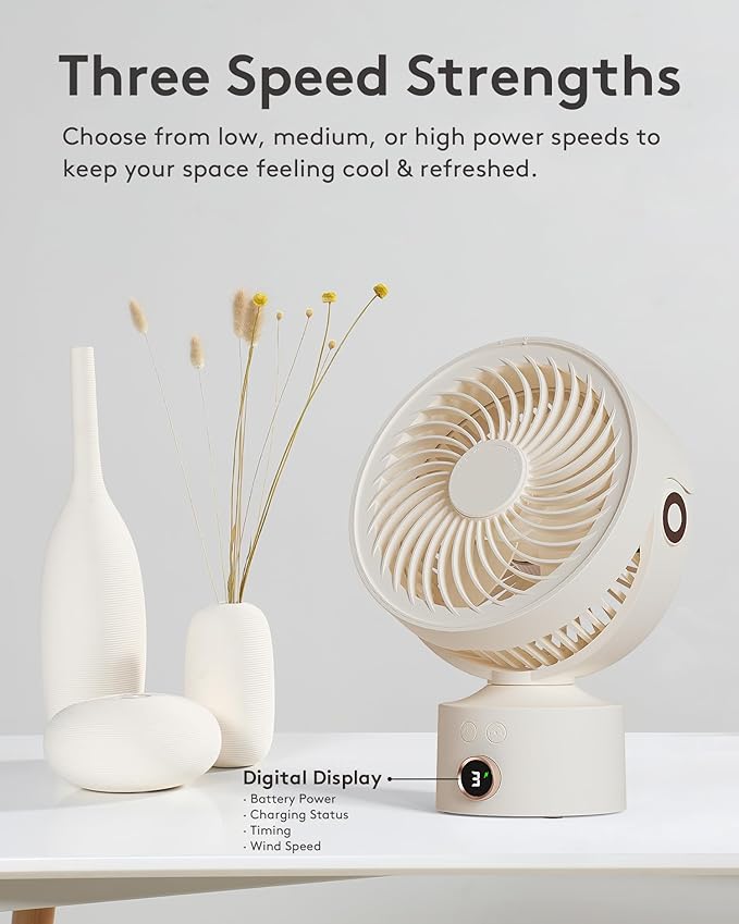 CARONSORT Desk Fan, Small Oscillating Fan