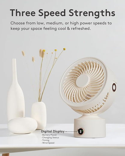CARONSORT Desk Fan, Small Oscillating Fan