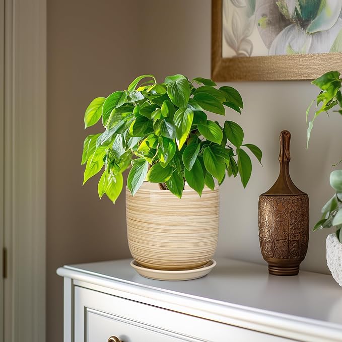 Ceramic Planter for Indoor Plants 7 Inch - Cylinder Modern Indoor Plant Pot with Drainage Hole and Saucer, Home Patio Office Bathroom Decor, Yellow