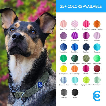 Blueberry Pet Essentials Neon Green Adjustable & Durable Large Dog Collar for Boys | Classic Collars for Large & Small Dogs, Stylish, Sturdy Nylon Collar for Pet Lovers
