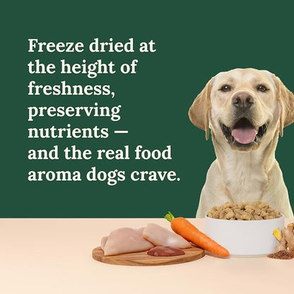 360 Pet Nutrition Freeze-Dried Raw Dog Food – Chicken Recipe with Liver & Organs, High Protein, Omega-3s, Fruits, Veggies & Superfoods, Grain-Free, No Fillers, 1 lb – Made in USA