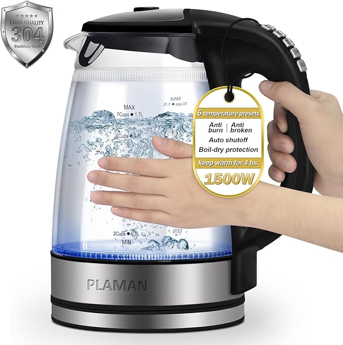 1500W Electric Kettle with Temperature Control