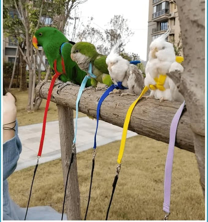Pet Parrot Bird Harness Leash Adjustable Bird Flying Harness Traction Rope with Cute Wing for Parrots Pigeons Budgerigar Lovebird Cockatiel Mynah Outdoor Training Toy (XL, Yellow)