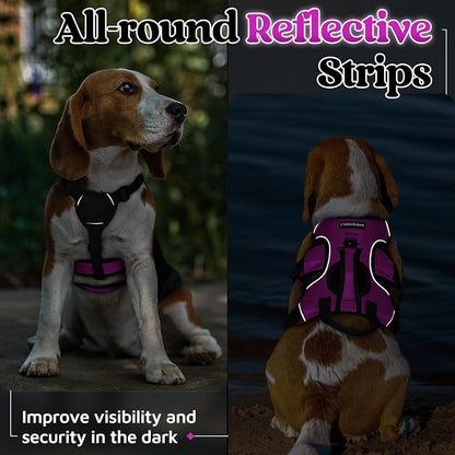 rabbitgoo Escape Proof Dog Harness for Small, No Pull with Lift Handle | No Escape, Full Soft Padded, Reflective Adjustable Vest, Leash Clip for Walking Hiking Training, Purple, Small