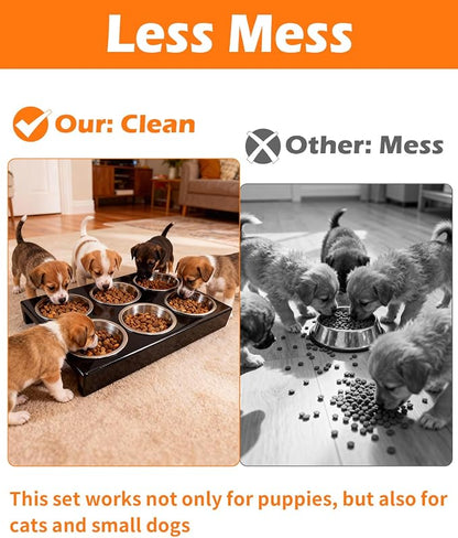 Puppy Feeding System 6 Litter Multiple Dog Bowl Feeder with Metal Stand Puppy Feeder Station, Weaning Dish Puppy's Feeding Ideal for Breeders, Litters & Weaning