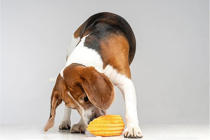 Squeaky Dog Plush Toy, Bite_Stick Collection, 8'', for Small and Medium Dogs (Carrot)