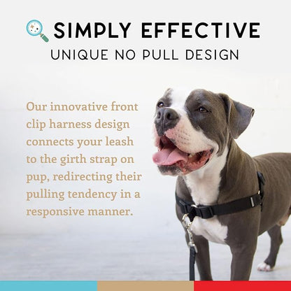 No Pull Dog Harness | Comfortable Dog Training Harnesses | Effective No Pull Harness Design | Ideal Dog Harness for Small Dog and Puppy | 4-Point Adjustable (S - 18~24 inch Girth, Black)