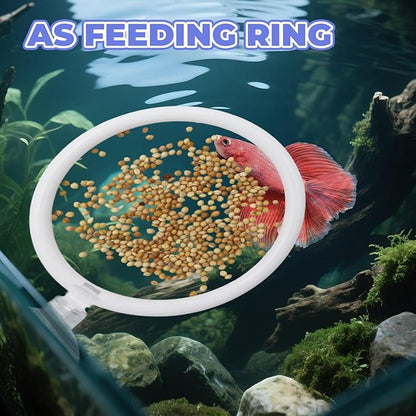 Beta Fish Aquariums Accessories, 1 Fish Mirror with Floating Ball & 2 Exercise Training Ring Toys, Fish Feeding Ring, Betta Fish Toys Set for Tank, Enrichment Toys for Fish
