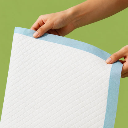 Disposable Dog Training Pads