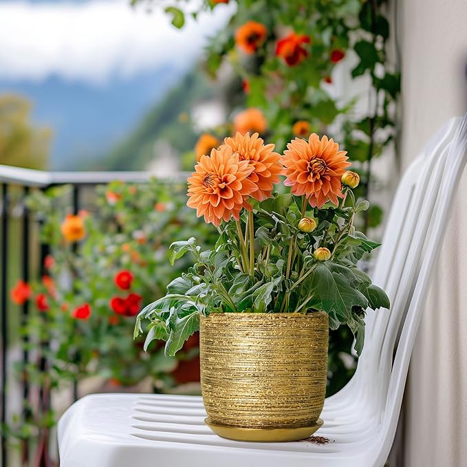 Succulent Pot 5 Inch - Ceramic Plant Pot for Indoor Flowers, Decorative Round Indoor Planter with Drainage Hole and Saucer, Plant Lover Gifts, Patio Office Home Room Decor, Gold
