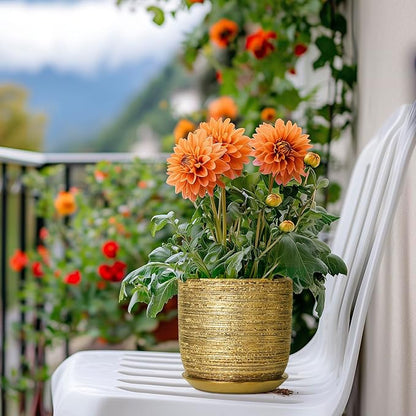 Succulent Pot 5 Inch - Ceramic Plant Pot for Indoor Flowers, Decorative Round Indoor Planter with Drainage Hole and Saucer, Plant Lover Gifts, Patio Office Home Room Decor, Gold