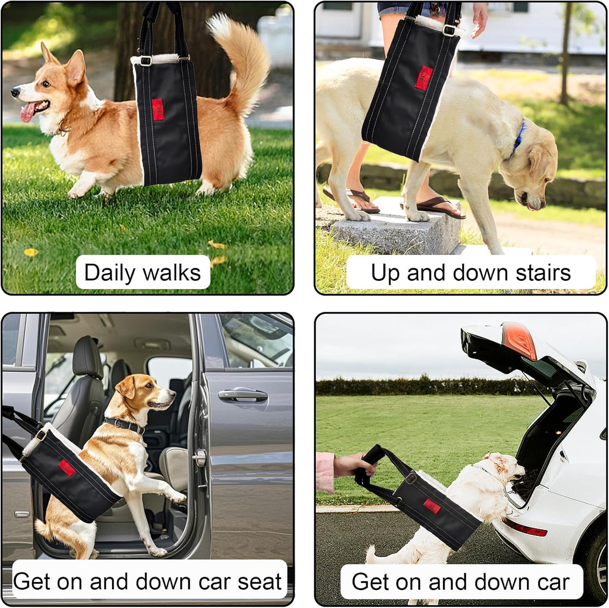 Dog Lift Harness - Adjustable Sling for Rear Legs with Soft Support for Senior, Injured, Disabled Dogs After ACL Surgery - Helping Pets with Canine Aid and Rehab Support (M)