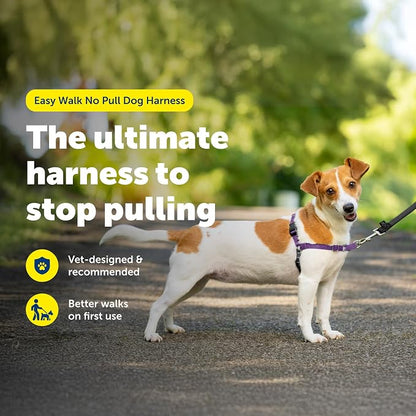 PetSafe Easy Walk Harness, No Pull Dog Harness, Deep Purple, Small | Patented Martingale Loop Gives Gradual Shoulder Pressure to Stop Pulling, Front-Chest Leash Clip Prevents Gagging