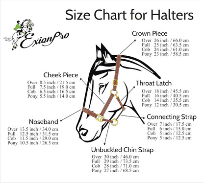 Exion Leather Horse Halter with Fancy Stitching | Black & Brown Padded Halter with Silver Brass Hardware | Quick-Release Snap | Adjustable Leather Halter – Cob, Full, Over, Pony Sizes