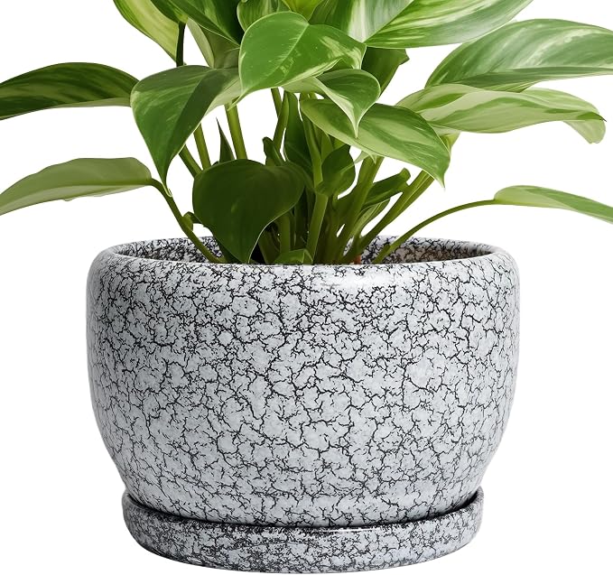SQOWL 8 inch Plant Pot - Ceramic Planter with Drainage Hole and Saucer, Round Flower Pot for Indoor Plants, Decorative Planter Outdoor, Patio Balcony Decor, House Warming Gifts, Black and White