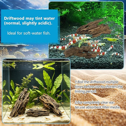 10 PCS Natural Honeycomb Wood 2-4", Porous Aquarium Driftwood, Cholla Wood Shrimp Shelter Breeding Cave, Shrimp Dragon Wood for Fish Tank, Aquascaping, Reptile, Terrarium Decor