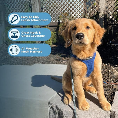 Best Pet Supplies Voyager Step-in Air Harness - All Weather Mesh, Reflective, No Pull Harness for Dogs, Cats - Secure with Hook & Loop Fastener, Buckle, Double D-Rings - Royal Blue, XXXS