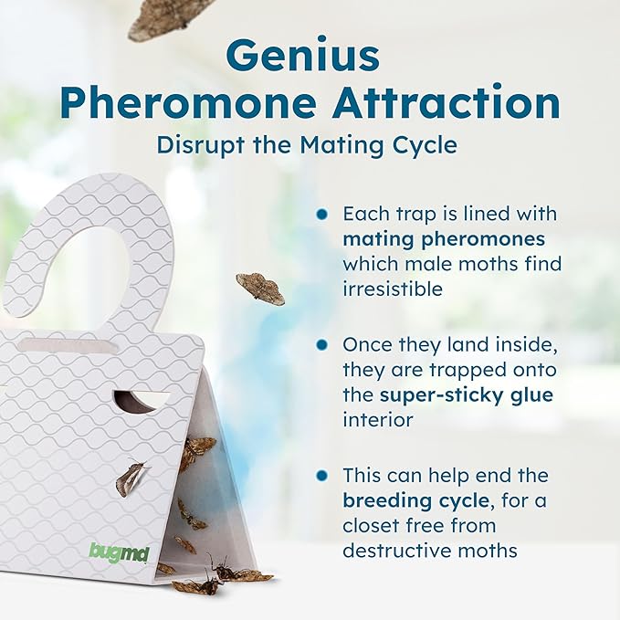 BugMD Clothes & Pantry Moth Traps – Sticky Glue Pheromone-Based Repellent
