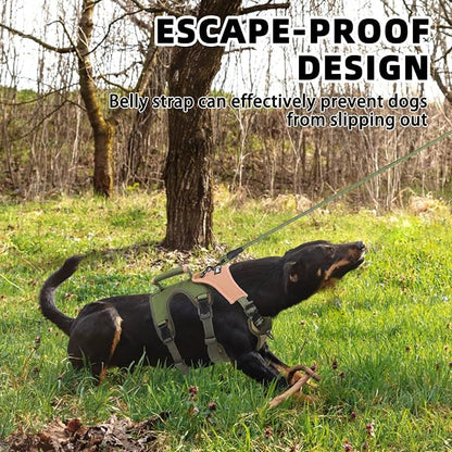 PUPTECK Escape Proof Dog Harness and Leash Set Upgraded No Pull Reflective Dog Vest with Lift Handle, Easy Control Pet Harness for Medium Large Dogs Training Walking Running, Green, XL