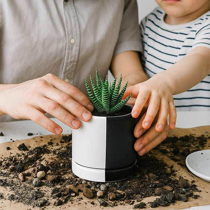 D'vine Dev 3.5 Inch Ceramic Planter Pot, Black White Split, 94-O-A-0 | Modern Cylinder Design, Drainage Hole & Saucer Included, Stable Structure, Elegant Home Accent