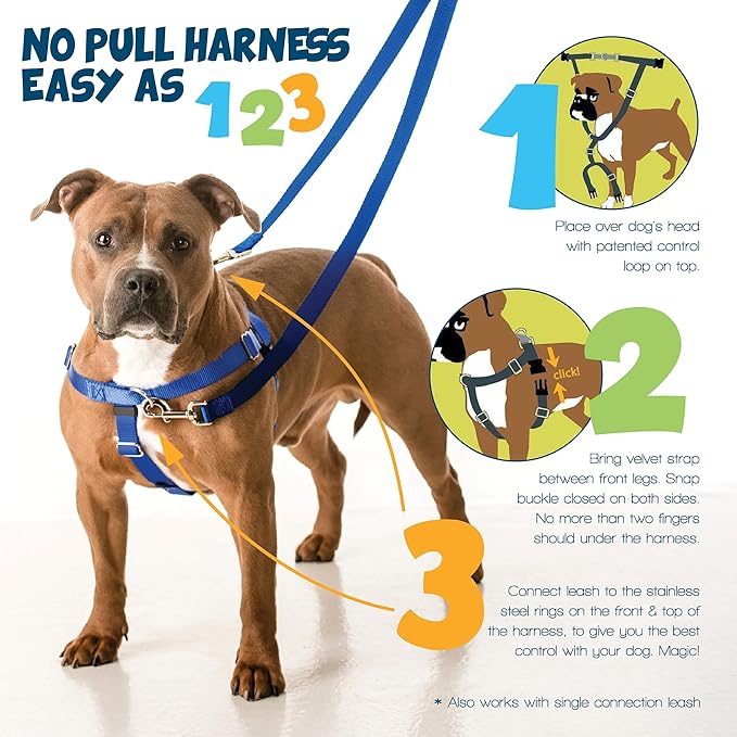 2 Hounds Design Freedom No Pull Dog Harness, Adjustable Harness, Easy Walking & Comfortable Control, Fits Small, Medium & Large Dogs, Solid Colors, Made in USA, 1" XXL, Teal