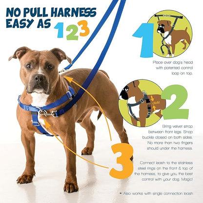 2 Hounds Design Freedom No Pull Dog Harness, Adjustable Harness, Easy Walking & Comfortable Control, Fits Small, Medium & Large Dogs, Solid Colors, Made in USA, 1" XXL, Teal