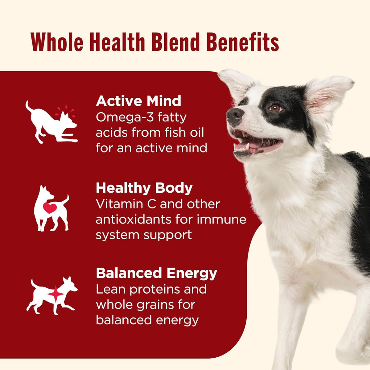 Nutrish Dry Dog Food, Real Beef, Pea & Brown Rice Recipe Whole Health Blend for Adult Dogs, 40 lb. Bag, Packaging May Vary (Rachael Ray)