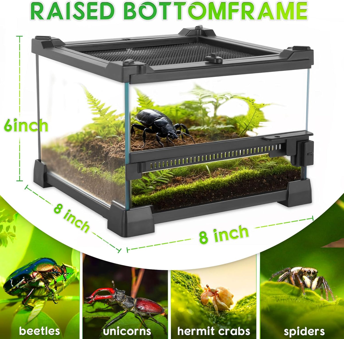 Mini Reptile Glass Terrarium 8"x8"x6" Durable Reptile Habitat Tank with Heat Resistant Aluminum Alloy Frame, Single Swinging Doors for no Jam by Sand and Other Debris