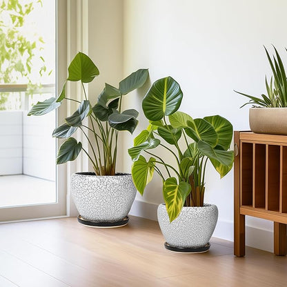 Ceramic Plant Pots Set of 3, 10+8+6 Inch Modern Round Flower Planters with Drainage Holes and Plant Saucers for Indoor Outdoor, Home Garden Room Porch Decor, Plant Lover Gifts, White-Black