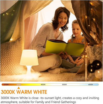 4 Pack 150 Watt Equivalent LED Light Bulb, Super Bright A21 Light Bulb, Warm White 3000K, 2600 High Lumens LED Bulb, Non-Dimmable, E26 Base, UL Listed