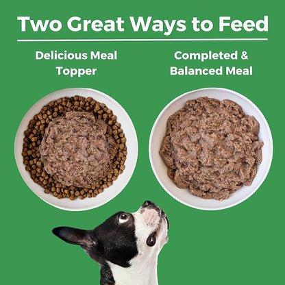 KOHA Limited Ingredient Diet Turkey Entrée for Dogs - Grain Free Wet Dog Food with No Fillers - Sensitive Stomach Canned Dog Food - 13 oz Pack of 12
