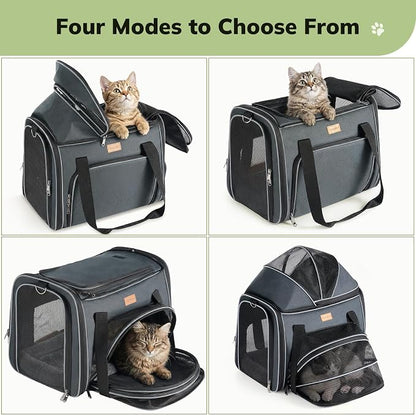 Morpilot Top and Side Expandable Cat Carrier for Pets up to 20lbs | Airline Approved Collapsible Soft-Sided Pet Carrier for Car Rides and Vet Visits (Dark Gray)