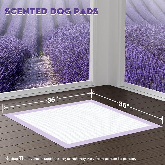 CROCI XXL Puppy Pads with Adhesive Tabs Lavender Scented 36x36in 30Ct | Super Absorbent Dog Pads Holds Up to 11 Cups of Urine, 6-Layers, Quick-Dry Surface, Leak-Proof, Disposable