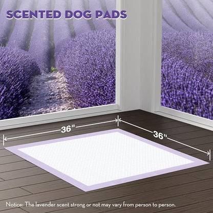 CROCI XXL Puppy Pads with Adhesive Tabs Lavender Scented 36x36in 30Ct | Super Absorbent Dog Pads Holds Up to 11 Cups of Urine, 6-Layers, Quick-Dry Surface, Leak-Proof, Disposable