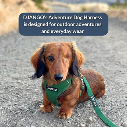 Adventure Dog Harness - Stylish and Durable Large Dog Harness for Outdoor Adventures and Everyday Wear - Forest Green Neoprene Adjustable Harness for Dogs with Reflective Piping & Brass D-Ring