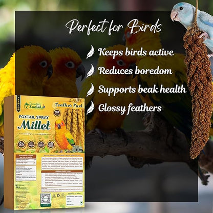Danodia's Zoolulu Foxtail Spray Millet for Birds 300 g (0.66 lb/ 10.6oz) | All-Natural Sun-Dried Non-GMO Treats | Parakeets, Budgies, Finches, Canaries, Cockatiels & Lovebirds