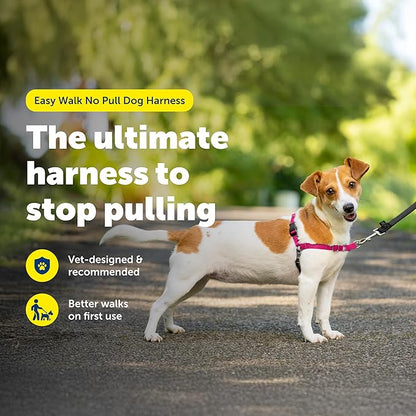 PetSafe Easy Walk Harness, No Pull Dog Harness, Raspberry, Small | Patented Martingale Loop Gives Gradual Shoulder Pressure to Stop Pulling, Front-Chest Leash Clip Prevents Gagging