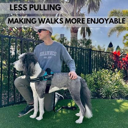 ShawnCo Essential Pro Dog Harness, No-Pull Pet Vest with 3 Leash Clips and Removable, Reflective Side Patches, Adjustable and Padded Harness for Small, Medium and Large Dogs (Oceanic Blue, M)