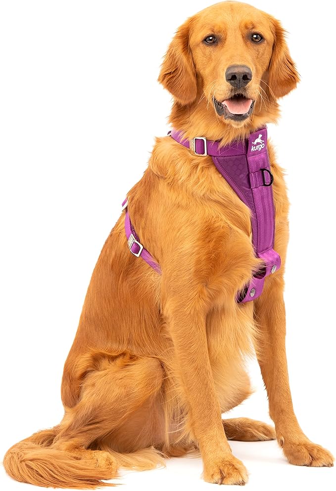 Kurgo Enhanced Strength Tru-Fit Dog Car Harness - Pet Travel Safety Harness - Crash Test Certified Fit - Five Point Adjustment - Secure Buckle - Padded Chest - Deep Violet - Large