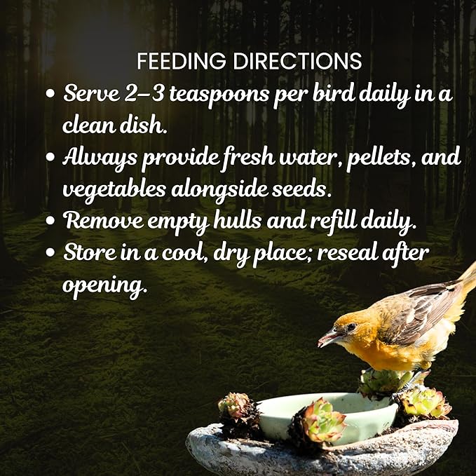 Danodia's Zoolulu Cockatiel & Parrotlet Millet Mix (950g/2 lbs) | Bird Food Blend for Cockatiels, Budgerigars, Parrotlets & Lovebirds | Daily Healthy Nutrition