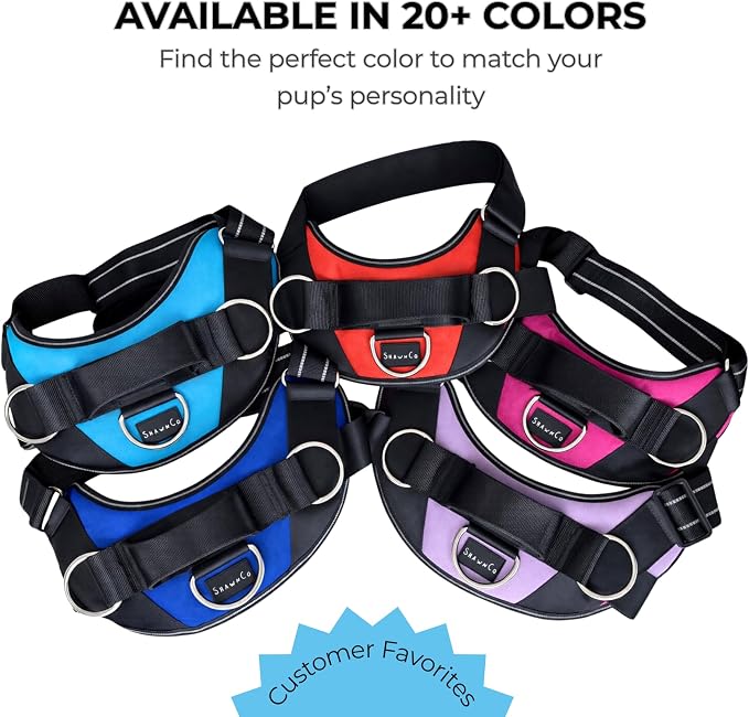 ShawnCo Essential Dog Harness, No-Pull Pet Vest (ICY Lilac,S) | 3 Leash Clips, Easy On, No-Choke, Reflective, Adjustable Fit, Padded Comfort, Control Handle, For Small, Medium & Large Dogs