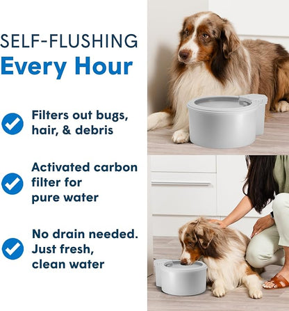 Always Full® 9" Self-Refilling Dog Water Bowl & Bottle Pump Bundle | Self-refilling filtered water with app-enabled hydration monitoring; easily upgradeable to the Always Full® Wall Unit.