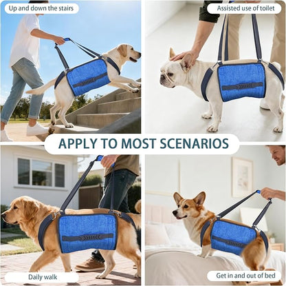 Adjustable Dog Lift Harness, Dog Carry Sling Provides Rear Leg Support for Senior Dogs, Arthritis and After ACL Surgery Dogs,Suitable for Medium to Large Dogs,Blue XL