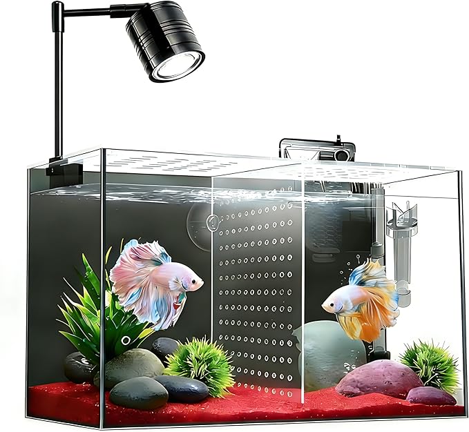 Fish Tank, 3 Gallon Ultra-Clear Glass Fish Aquarium, with Separator Plate for Betta, Fish Tank Starter kit with Filter and Led Light, Black