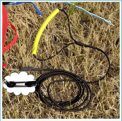 Pet Parrot Bird Harness Leash Adjustable Bird Flying Harness Traction Rope with Cute Wing for Parrots Pigeons Budgerigar Lovebird Cockatiel Mynah Outdoor Training Toy (L, Purple)