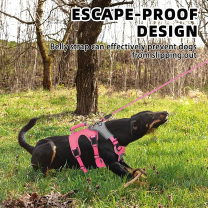 PUPTECK Escape Proof Dog Harness and Leash Set Upgraded No Pull Reflective Dog Vest with Lift Handle, Easy Control Pet Harness for Medium Large Dogs Training Walking Running, Fuchsia, XL