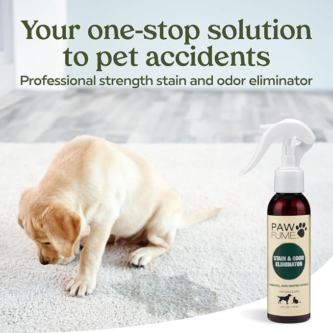 PAWFUME Stain & Pet Urine Odor Eliminator, 2-Pack | Enzymatic quick-dry formula with eco-friendly ingredients for upholstery, fabrics and Carpet Cleaner Spray use